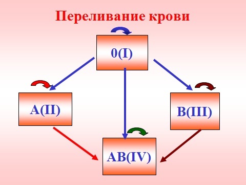 Универсальная кровь для переливания: миф или реальность