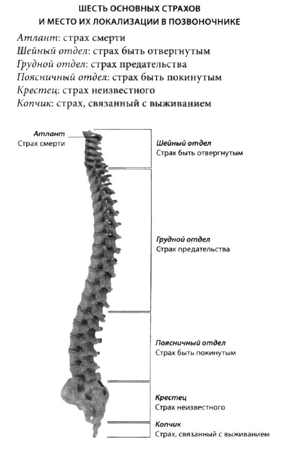 Позвоночник: 6 страхов, живущих в костях 