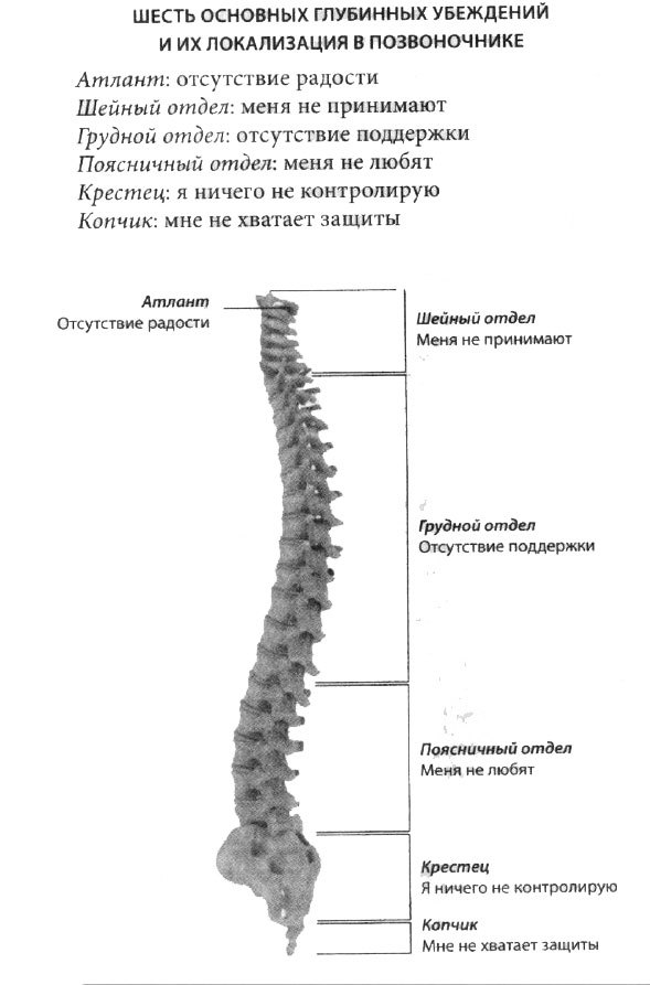 Позвоночник: 6 страхов, живущих в костях 