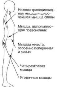 12 волшебных утренних упражнений по методу Пилатеса 