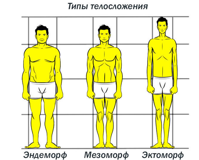 МЕТАБОЛИЗМ: Что это такое и как его улучшить