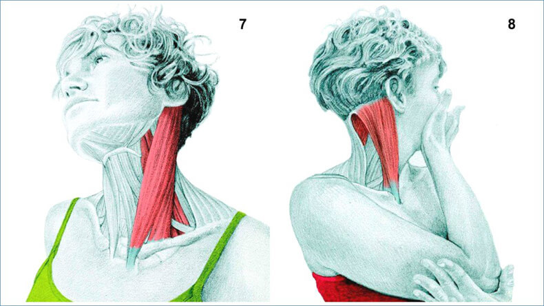 Стретчинг: 34 упражнения на растяжку. Что и как мы тянем