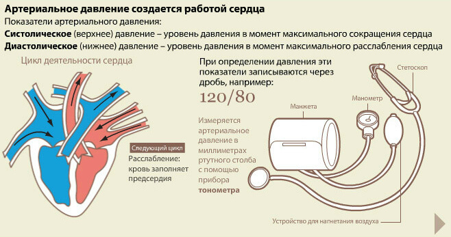 Норма давления в зависимости от возраста — таблица показателей