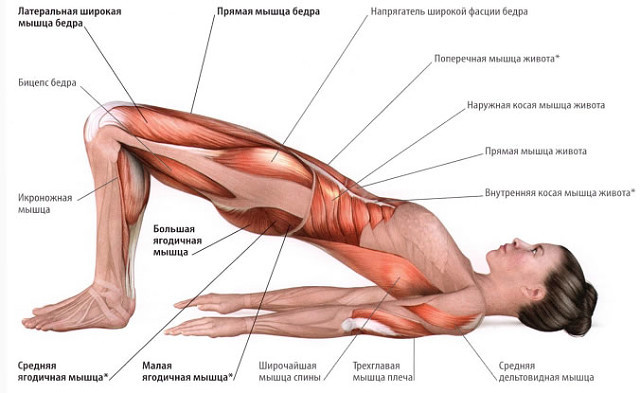 5 упражнений при пояснично-кресцовом остеохондрозе