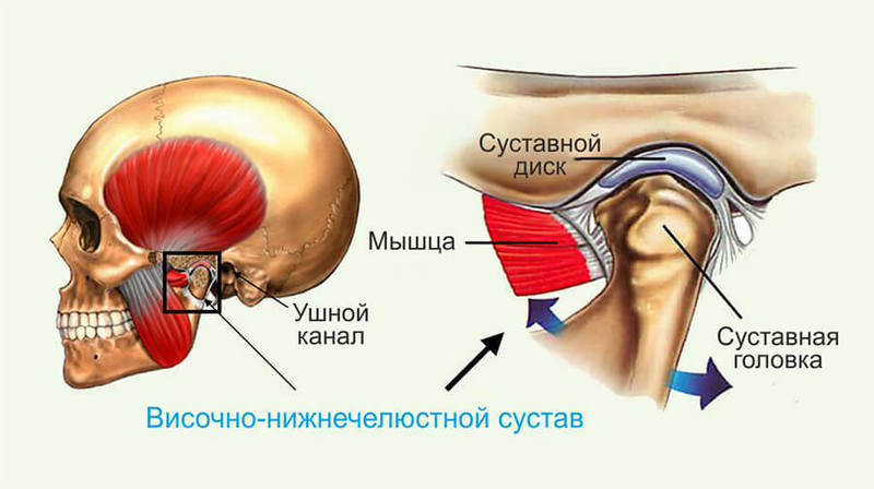 Дисфункции ВНЧС: 9 упражнений для височно-нижнечелюстного сустава