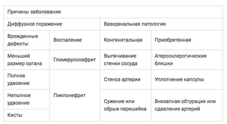 Почечная ГИПЕРТОНИЯ: повышение давления, связанное с почками