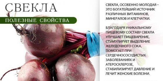 Укрепляем и чистим сосуды: 5 рецептов вкусных салатов из свеклы