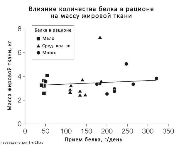 Имеет ли смысл считать калории? 