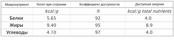 Имеет ли смысл считать калории? 