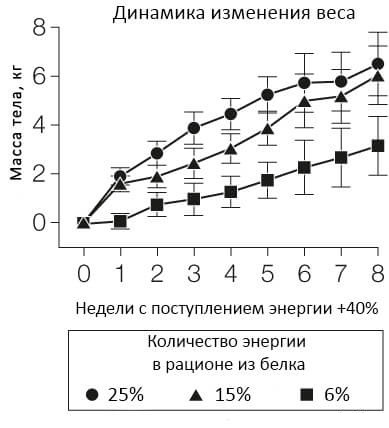 Имеет ли смысл считать калории? 