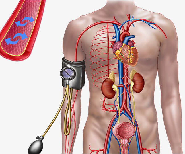 Как высокое и низкое давление влияет на ваше здоровье 