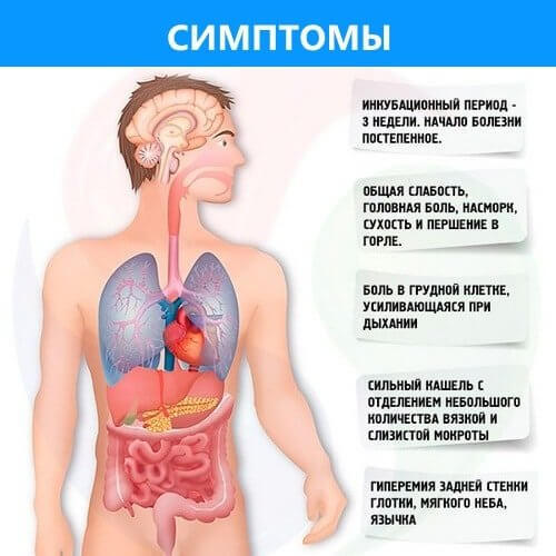 Воспаление лёгких: 5 симптомов, о которых должен знать каждый взрослый