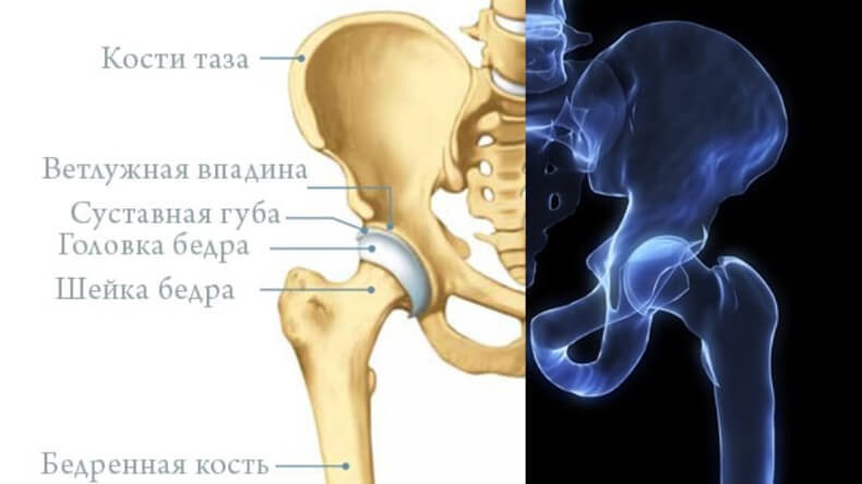 Почему ночью болит в тазобедренном суставе 