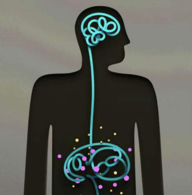Как психическое здоровье связано с микрофлорой кишечника