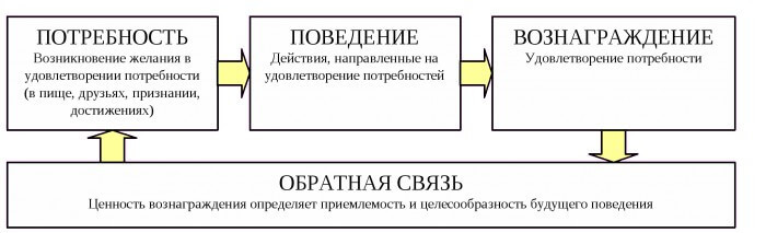 Иллюзия неуверенности в себе и нелюбви к себе. И причем тут лень?