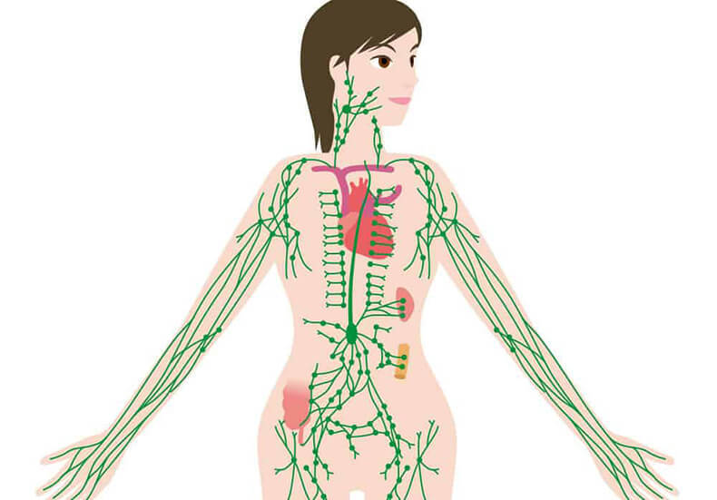 Застой в лимфатической системе: 16 симптомов 