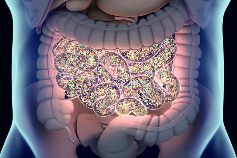«Война» кишечной микрофлоры: Ответы на 10 вопросов о дисбактериозе