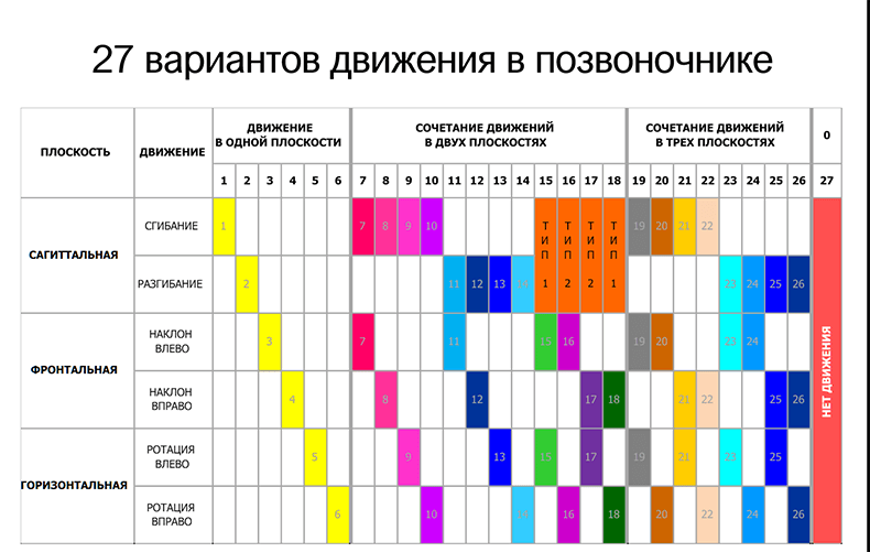 27 движений в позвоночнике: зачем они нужны