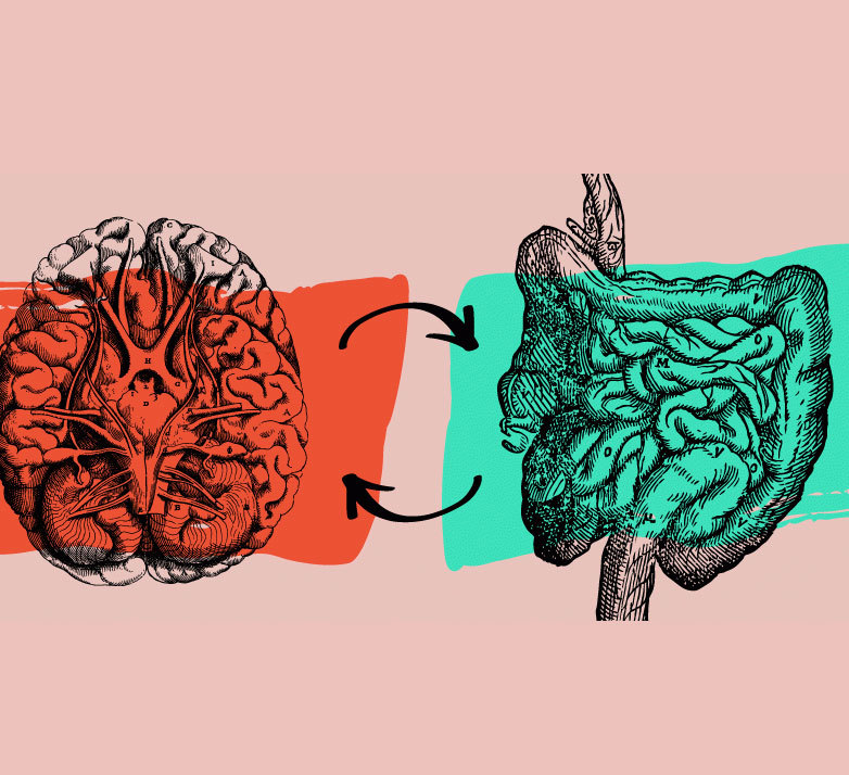 Мозг в животе: источник интуитивного знания и мудрости