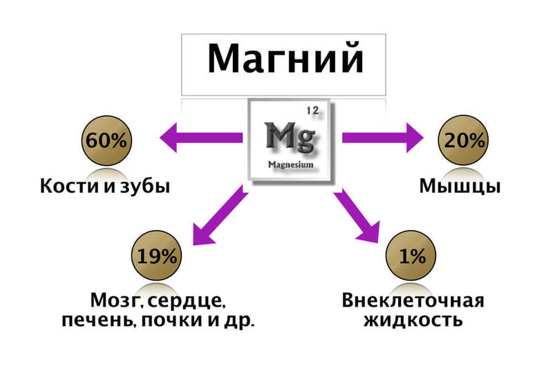 Магний глазами невролога