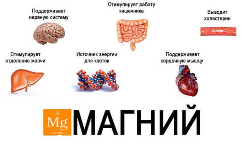 Магний глазами невролога