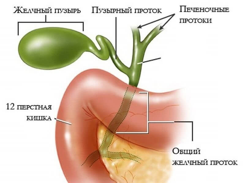 Желчный пузырь: Симптомы перегиба 