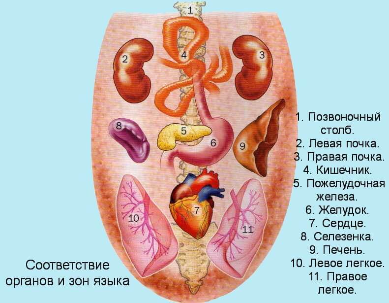 Что ваше лицо, язык и ногти могут рассказать о здоровье до того, как станет поздно