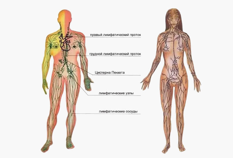 Лимфостаз - симптомы и лечение