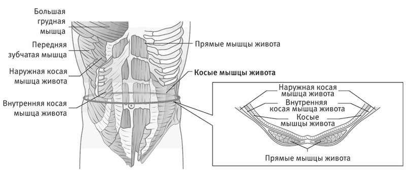 Всего 2 упражнения для идеального пресса