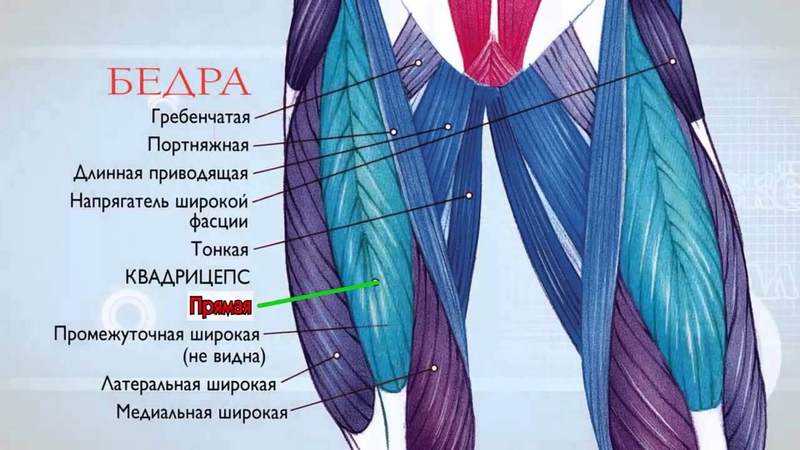 Растяжка сгибателей бедра: лучшие упражнения