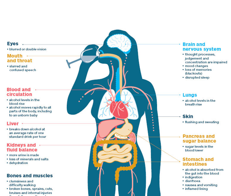 Что алкоголь делает с вашим телом
