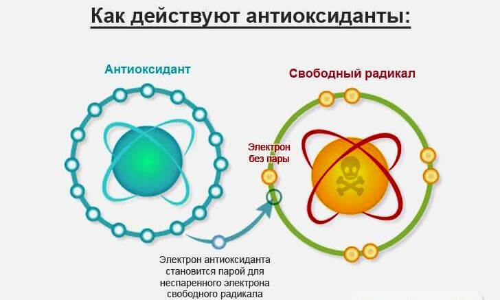 Полное руководство по антиоксидантам