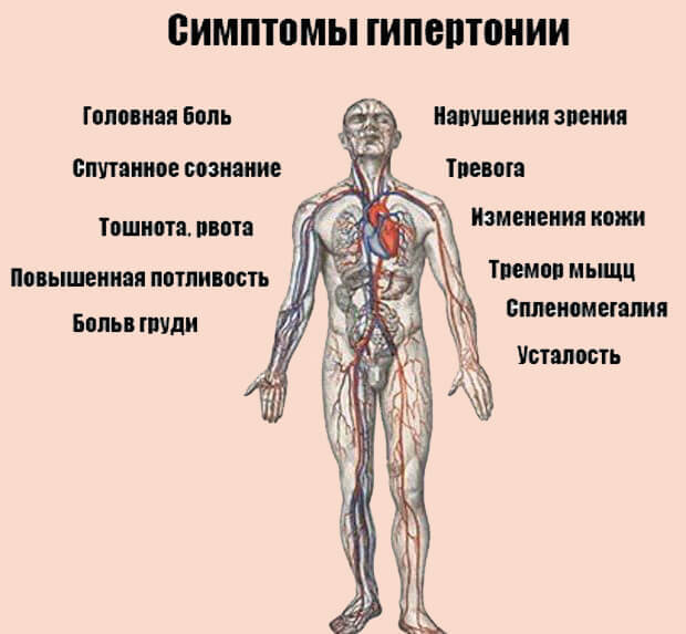 Артериальная ГИПЕРТОНИЯ: правила контроля 