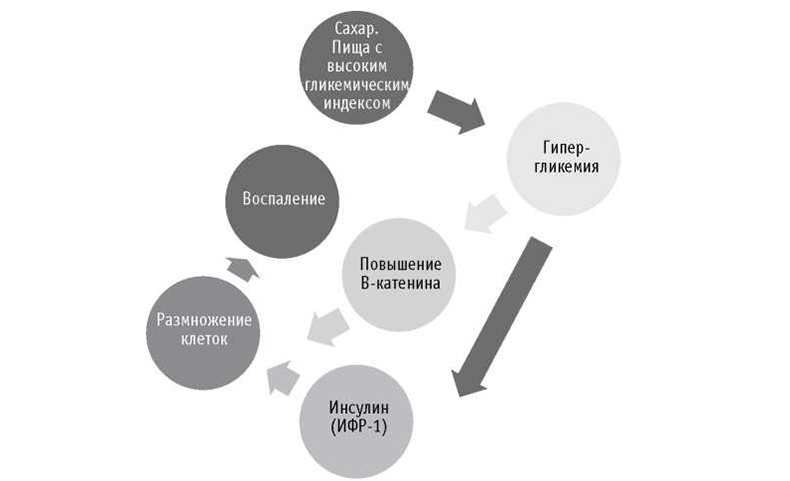 Ежедневный ЯД: ВЕСКИЕ аргументы, чтобы перестать есть сахар