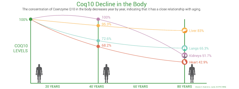 Коэнзим Q10: 22 полезных свойства и дозировки приема