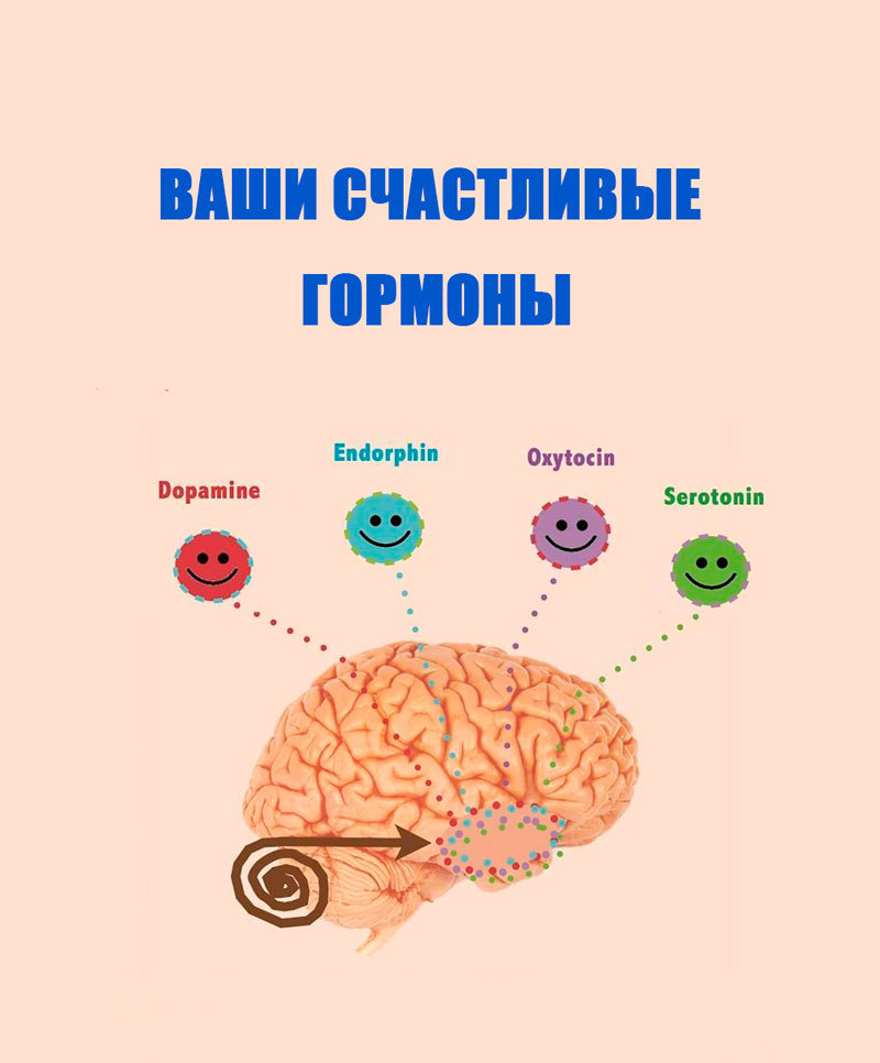 ГОРМОНЫ СЧАСТЬЯ: Как они работают и что с этим делать