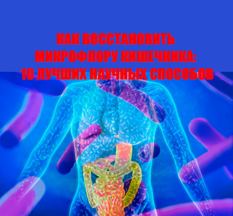 Как ВОССТАНОВИТЬ микрофлору кишечника: 10 лучших научных способов