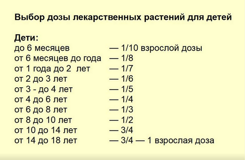 Шпаргалка: Как готовить и дозировать лекарственные растения для детей