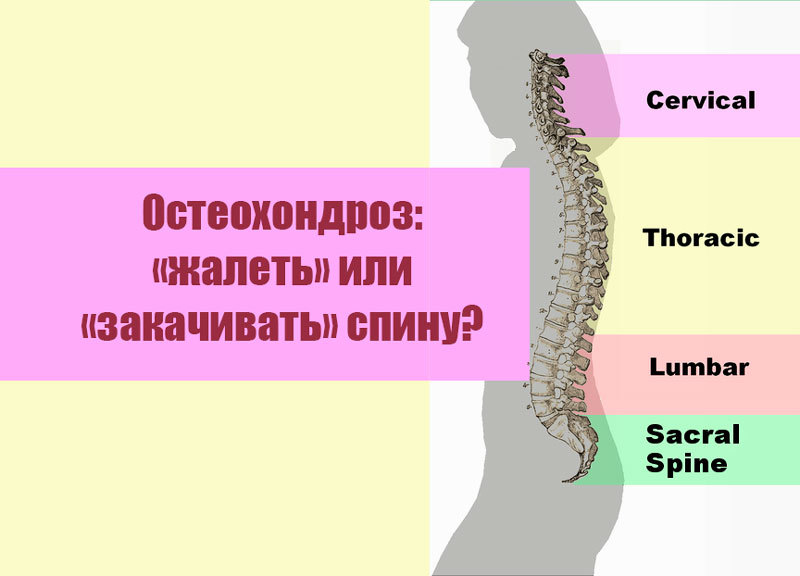 Остеохондроз: «жалеть» или «закачивать» спину?