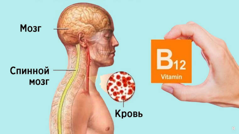 Дефицит B12: 8 распространенных признаков  