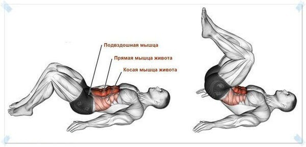 Тренировка глубоких мышц для плоского живота и здоровой поясницы