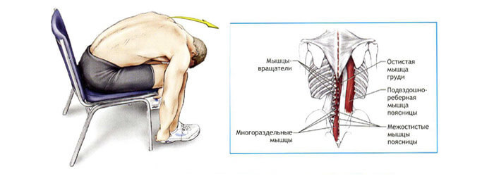 Растяжка спины: Как, кому и зачем