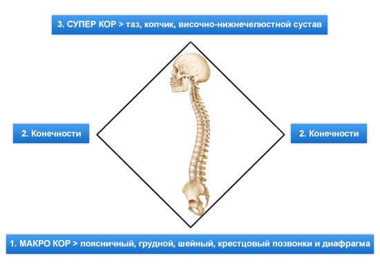 Как избавиться от боли в пояснице с помощью НСИ