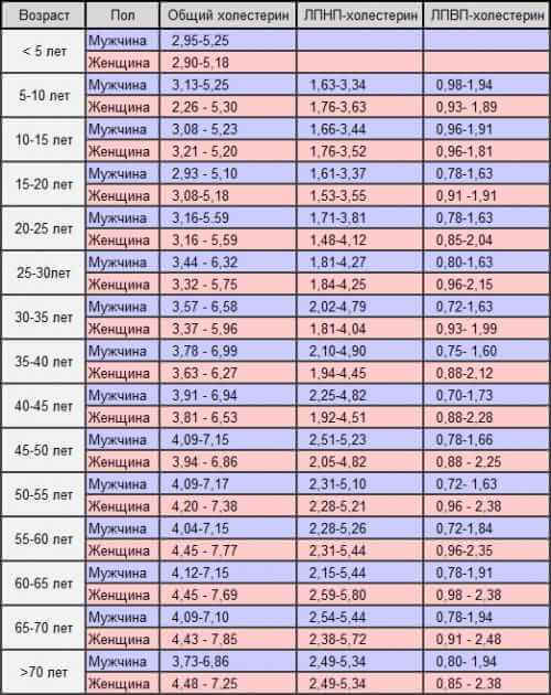 Холестерин: 25 фактов, которые нужно знать 