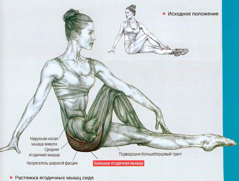 Растяжка ягодичных мышц: Самые эффективные упражнения