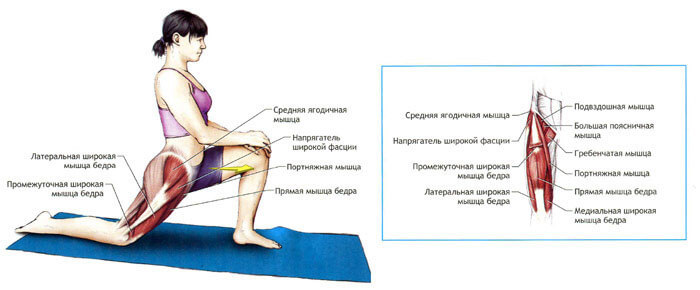 Как правильно растягивать мышцы бедра