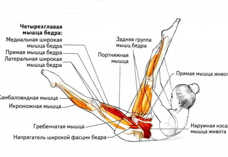 Как правильно растягивать мышцы бедра