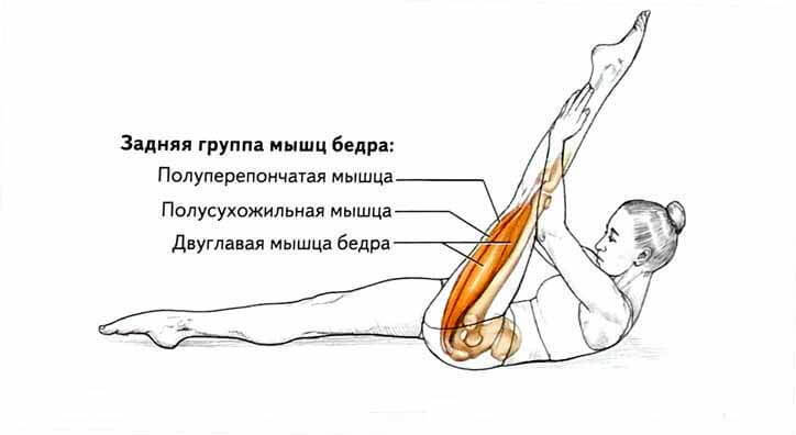 Как правильно растягивать мышцы бедра