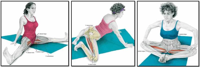 Как правильно растягивать мышцы бедра