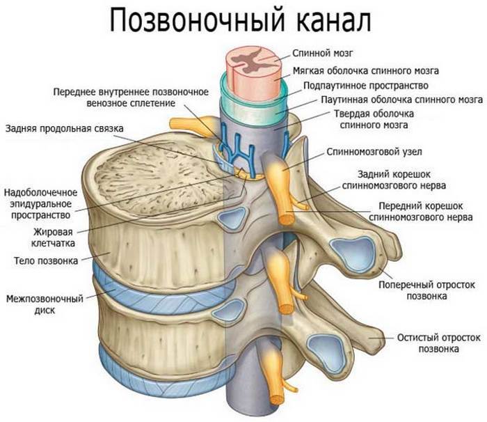 Жжение в позвоночнике: Что делать?